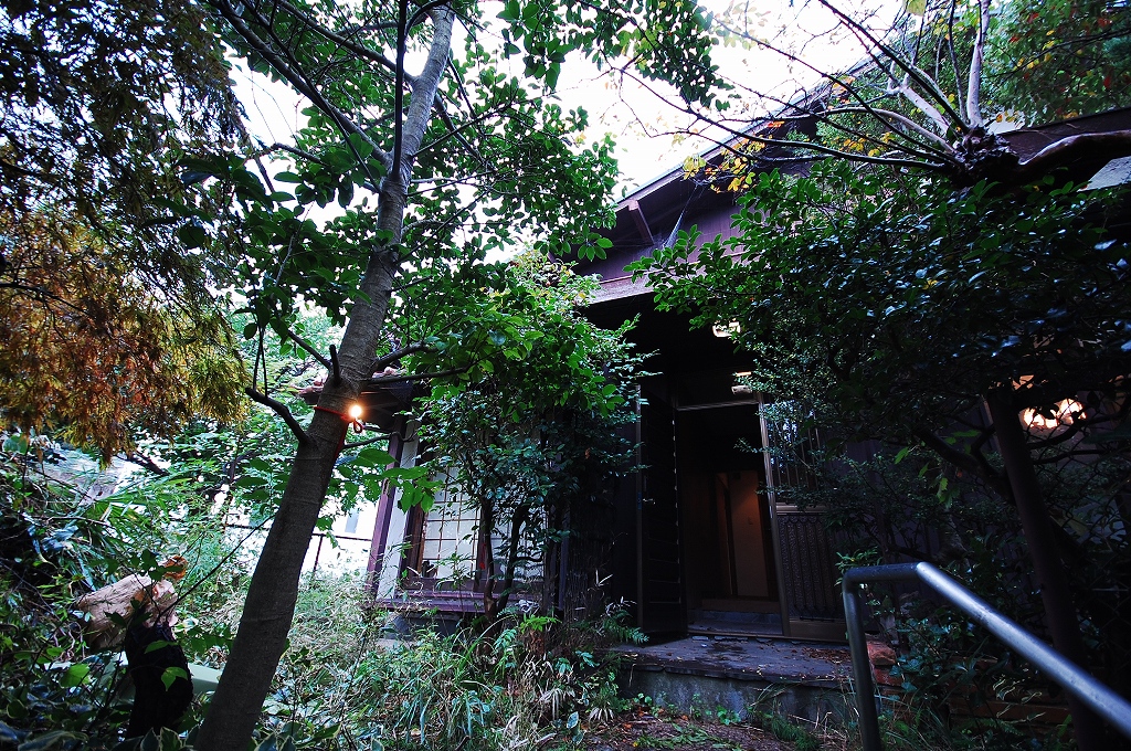 施工前、お庭からの風景