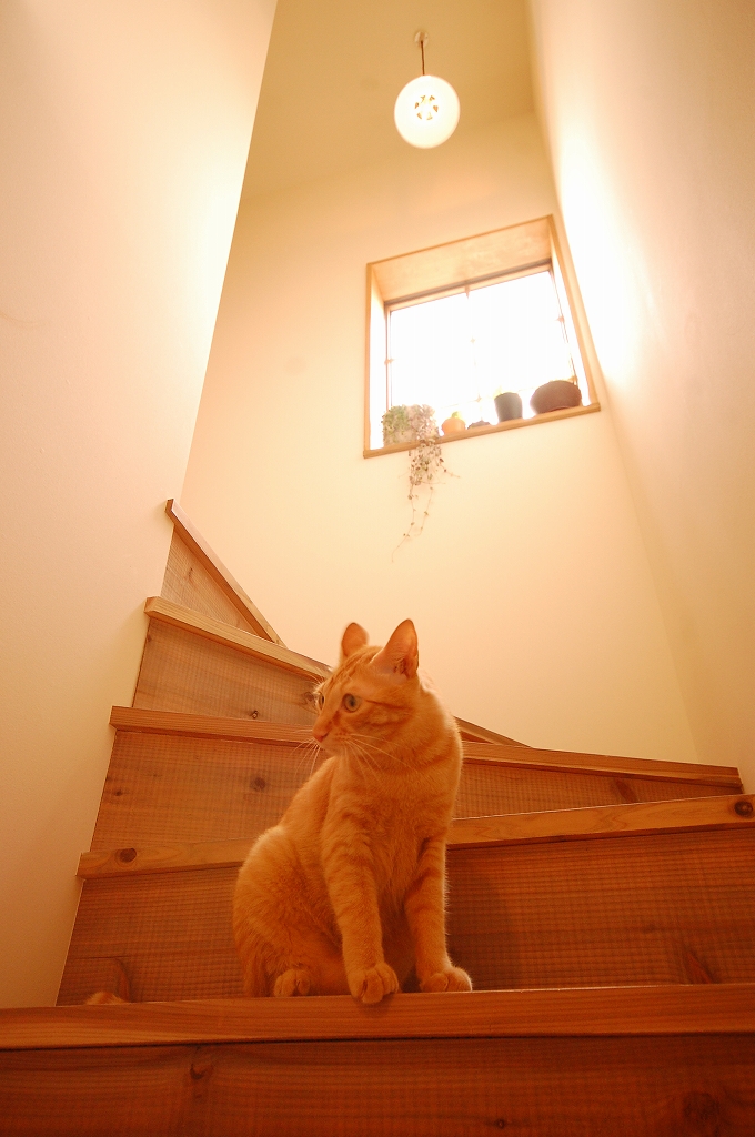 古材の足場板で作った階段