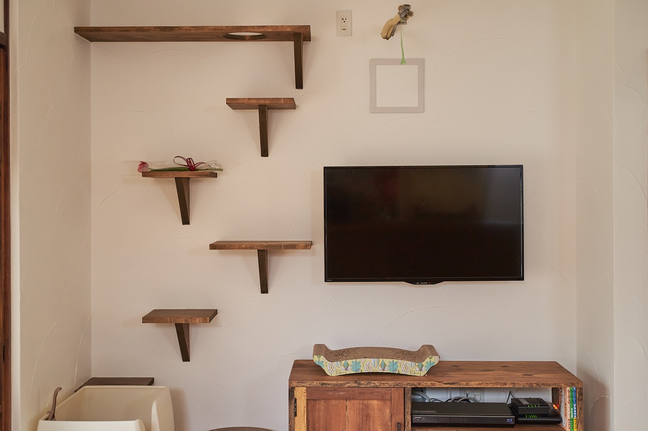 ケンカの後のこもり棚