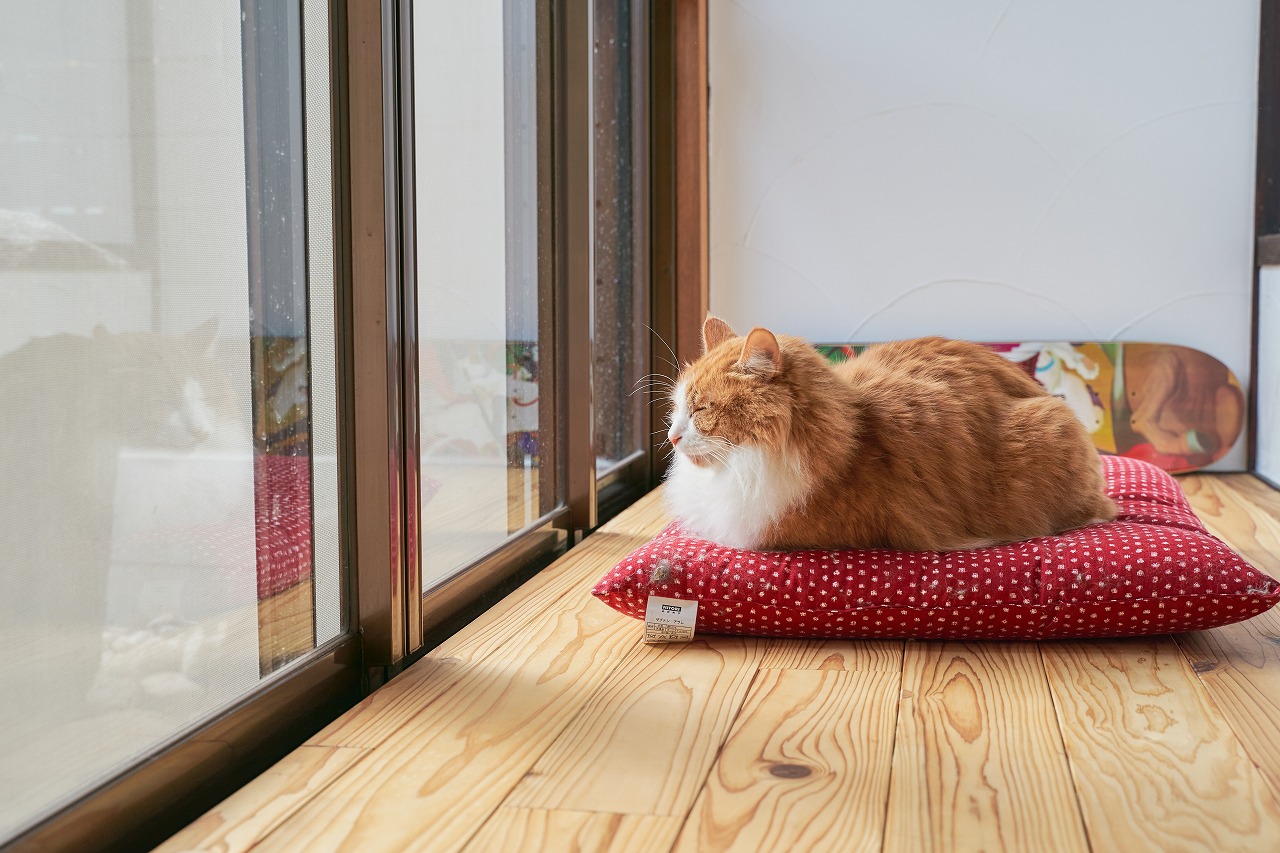 今日も誰かの特等席