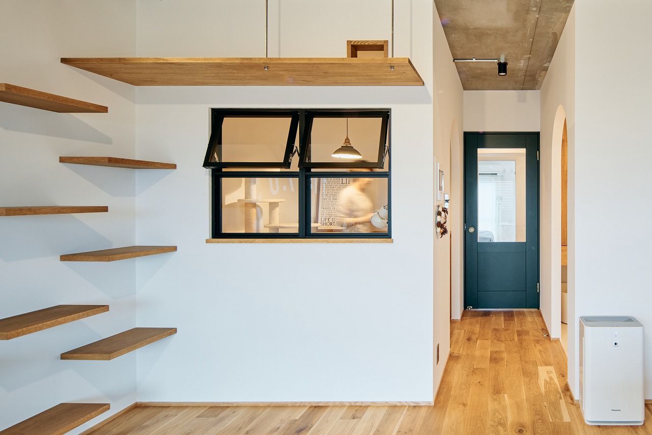 猫たちの通り穴＆ステップ