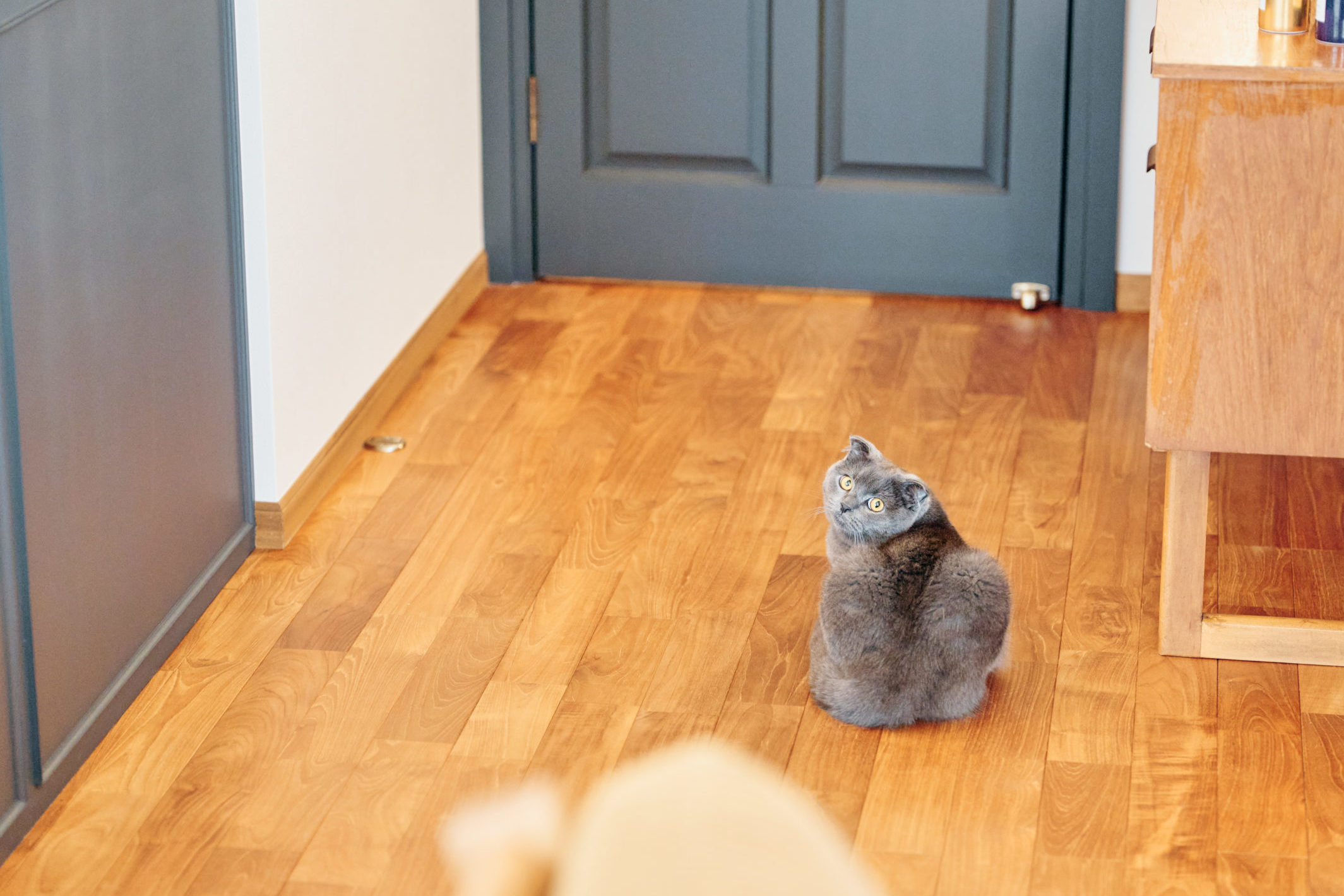 色味にこだわって選んだ「チーク材」の床
