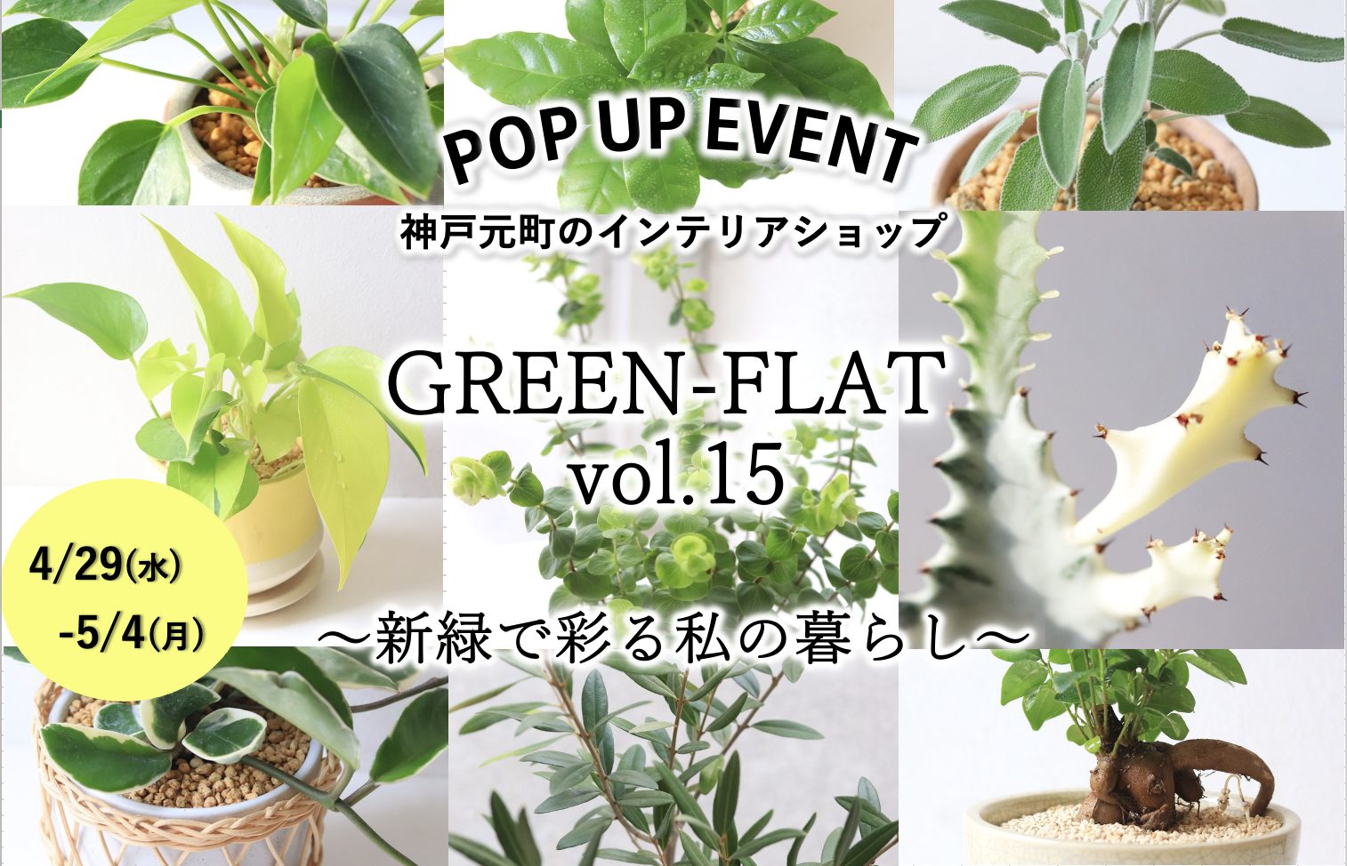 『GREEN-FLAT vol.15～新緑で彩る私の暮らし～』開催‼
